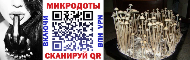 Галлюциногенные грибы Psilocybe  цены наркотик  Монино 